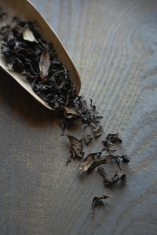 2025 春 蜜香白茶 / Honey White Tea